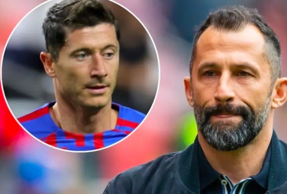 不仅仅限于 不仅仅限于