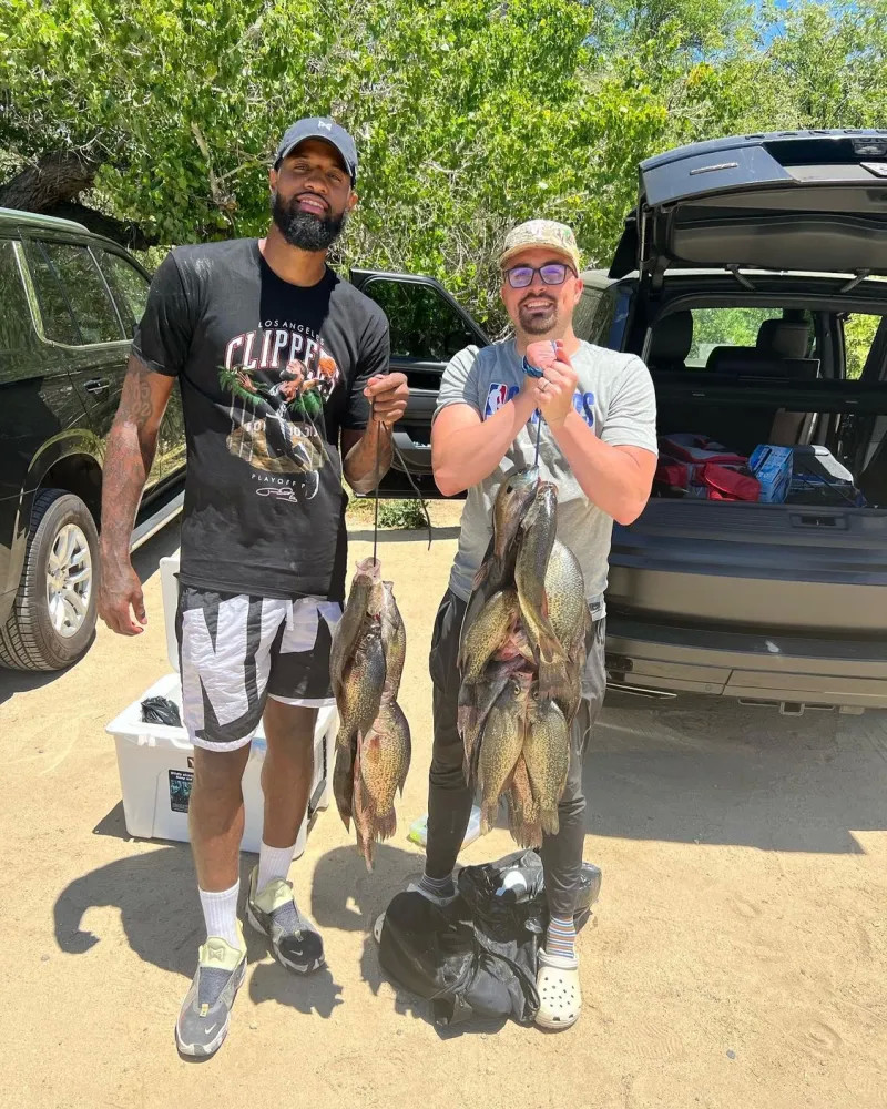 球不仅展示 球不仅展示